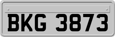 BKG3873