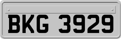 BKG3929