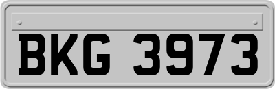 BKG3973