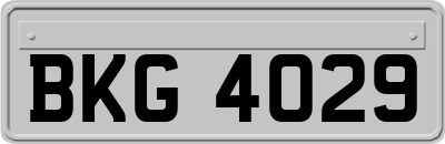 BKG4029