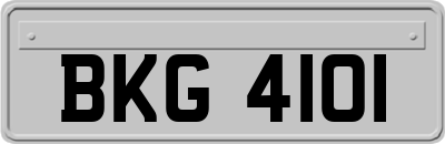 BKG4101