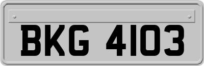 BKG4103