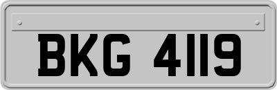 BKG4119