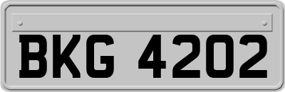 BKG4202