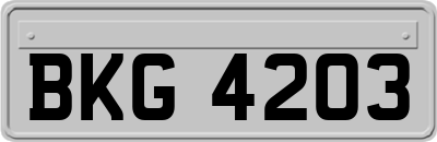 BKG4203