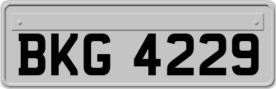 BKG4229