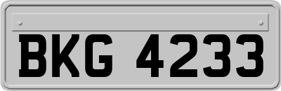 BKG4233