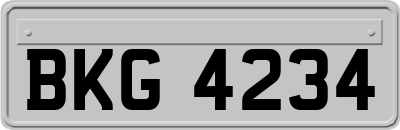 BKG4234