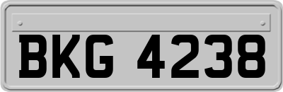 BKG4238