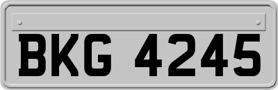 BKG4245