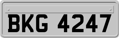 BKG4247