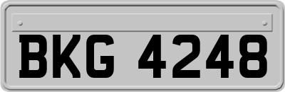 BKG4248