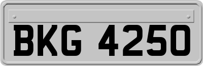 BKG4250
