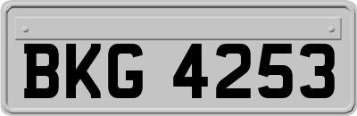 BKG4253