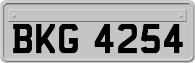 BKG4254