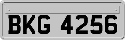 BKG4256