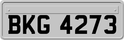 BKG4273