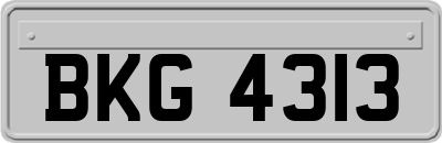 BKG4313