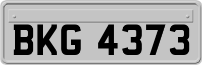 BKG4373