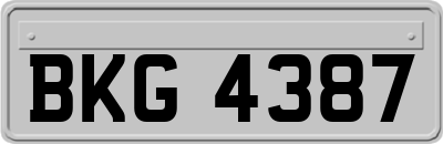 BKG4387