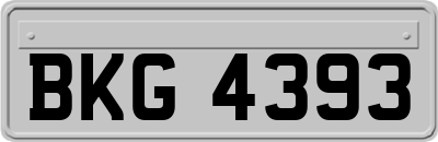BKG4393