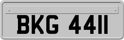 BKG4411