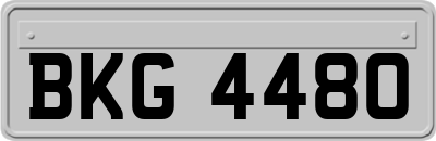 BKG4480