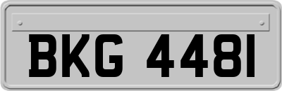 BKG4481
