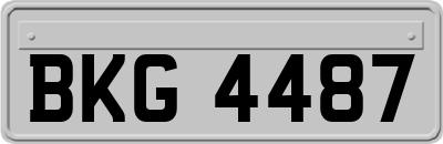 BKG4487