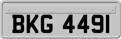 BKG4491