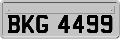 BKG4499