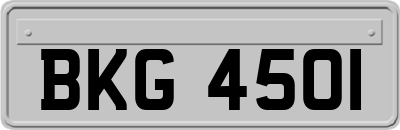BKG4501