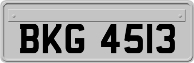 BKG4513