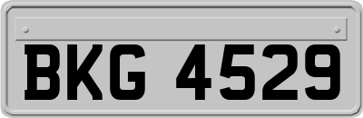BKG4529