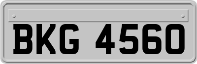 BKG4560