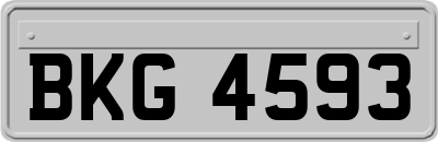 BKG4593