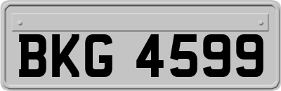 BKG4599