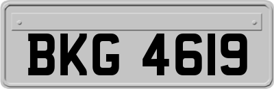 BKG4619
