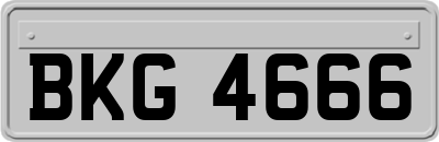 BKG4666