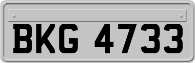 BKG4733