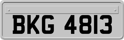 BKG4813