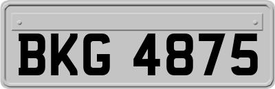 BKG4875