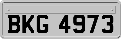 BKG4973