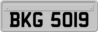 BKG5019
