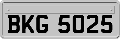BKG5025