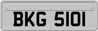BKG5101