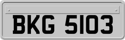 BKG5103