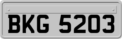BKG5203