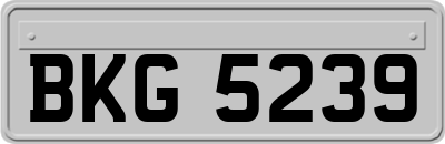 BKG5239