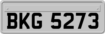 BKG5273